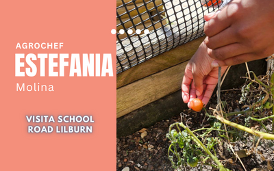 Descubriendo el Verde Milagro: Mi Día Enseñando Agrococina con Albahaca en School Road Lilburn, GA